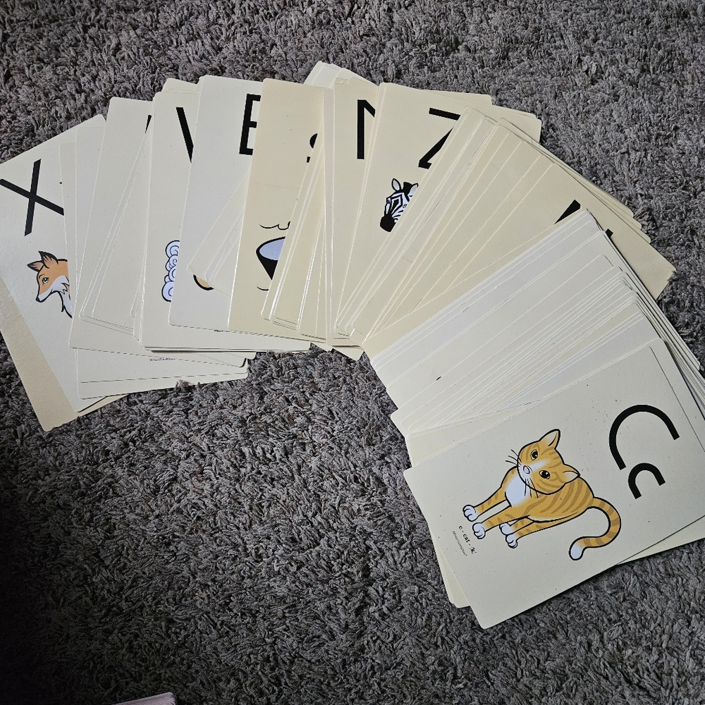 Picture Cards - Picture 15 of 16